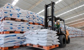 Petrokimia Gresik Dukung Peningkatkan Ekonomi Nasional dengan Genjot Produktivitas Pertanian