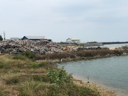 WALHI Soroti Bekas Reklamasi Pantai Campurejo Panceng Dibuat Tempat Pembuangan Akhir Sampah