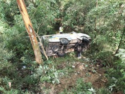 Rem Elf Ngeblong Lalu Oleng Tabrak Pohon Terjun ke Jurang Sarangan Magetan, Begini Nasib 8 Penumpamgnya