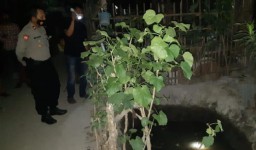 Bocah 3 Tahun di Mojokerto Tewas Kecemplung Kolam Lele