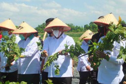 Ke Jember, Menkop Teten Salurkan Bantuan Rp 30 M Kepada Petani