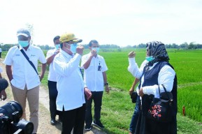 Dirut PG Ajak Jajaran Blusukan ke Gudang dan Kios Pupuk Petrokimia Gresik