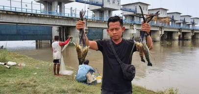 Tradisi Komboan di  Tengah Pencemaran Industri Tekstil dan Etanol  Bengawan Solo  