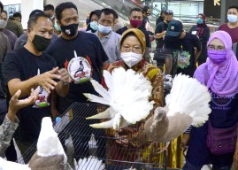 Wali Kota Risma Borong Tujuh Pasang Merpati "Aneh-aneh"