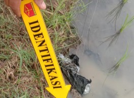 Kakek Dukun Terkapar Tersengat Listrik Jebakan Tikus