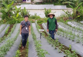 Petrokimia Dorong Anak Muda Menjadi Petani Milenial Melalui Penghargaan Petani Inspiratif