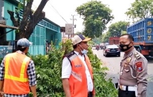 Gara-gara Tak Koordinasi, Pak Polisi dan Perwakilan BBPJN VIII Cekcok Soal Pemotongan Pohon di Kawasan Kejapanan Pasuruan