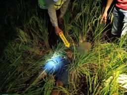 Hingga Malam Tak Kunjung Pulang ke Rumah, Petani Dukun Gresik Ternyata Tersengat Jebakan Tikus