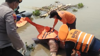 Mayat Perempuan Warga Dukun Gresik Ditemukan Mengambang di Bendung Gerak Sembayat di Kecamatan  Bungah