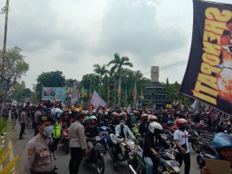 Ribuan Pesilat dan Pendekar PSHT Meluruk Kantor Bupati Gresik, Ada Apa ?