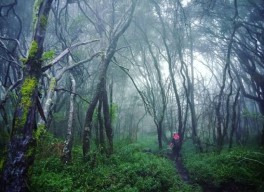 Misteri Gunung Butak Malang (Part II)