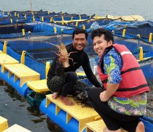Dimotori Pemuda, Budidaya Lobster Keramba Apung Berkembang Pesat di Pesisir Trenggalek