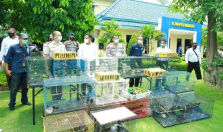 Ratusan Burung dan Seorang Pria Diamankan Ditpolairud Polda Jatim