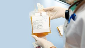 Ayo Ker..... Donor Darah Penyintas Covid Karena Stok Darah Plasma Konvalesen Malang Habis