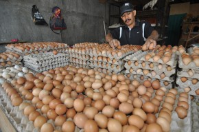 Kenaikan Harga Telur dan Tiket Pesawat Picu Inflasi Mei 0,4 Persen