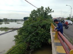 Berkah Banjir Gresik Selatan Bagi Pemancing Ikan Yang lolos dari Budidaya Tambak