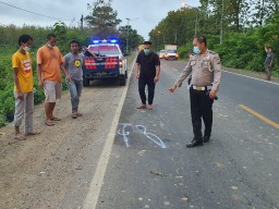 Hendak Pulang ke Tuban, Pemuda Ini Kehilangan Nyawa di Hutan Panceng