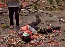 Nyawa Slamet Ternyata Tidak Selamet AKibat tertimpa Pohon di Pasuruan