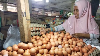 Stok Telur dan Daging di Jatim Aman, Diprediksi Ada Kenaikan 20 Persen