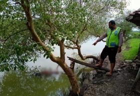 Perbaiki Pembatas Tambak, Darmo Warga Dukun Ditemukan Mati Tenggelam