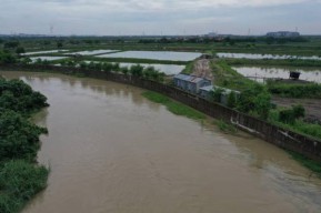 5.432 Hektar Lahan Pertanian di Jatim Terendam Banjir