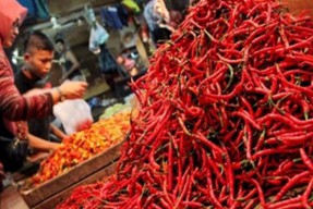 Libur Nataru Harga Sembako di Jatim Stabil Kecuali Cabai