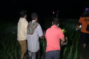 Lagi dan Lagi, Listrik Jebakan Tikus di Ngawi Tewaskan Pemuda Pencari Belut