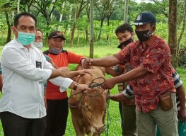 PTPN XII Gelontarkan Dana Kemitraan Rp 9,2 Miliar Untuk 926 Peternak
