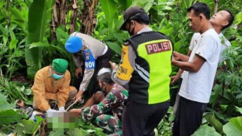 Panjat Pohon Jati, Warga Ponorogo ini Tewas dengan Luka Bakar dan Gigi Tanggal