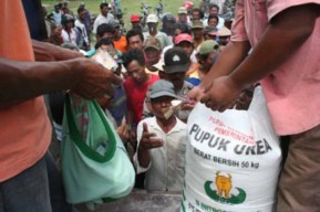 Alokasi Pupuk Subsidi di Banyuwangi Bertambah Namun Harga Juga Tambah Mahal