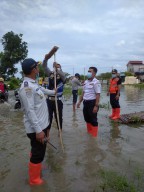 Dishub Lamongan Turun ke Wilayah Banjir, Pantau Askes Jalan hingga Bantu Pengendara