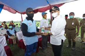 Petani Banyuwangi Gembira Ada Program Bagi-Bagi Pupuk Gratis