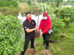 Injak Usia 74 Tahun, Megawati Dikado Kader Banteng Ratusan Tanaman di Wringinanom Gresik