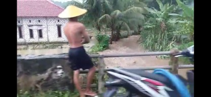 Puluhan Hektar Sawah di Kecamatan Tambak Pulau Bawean Terendam Banjir