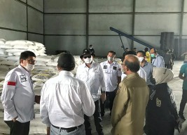 Pemerintah Diminta Genjot Produktivitas Tanaman Tebu