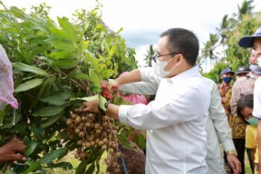 Bupati Anas Dorong Warga Desa Manfaatkan Pekarangan untuk Tanaman Organik