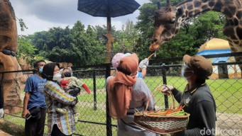 Yuk ke Bonbin Surabaya, Hari Ini Sudah Mulai Buka, Simak Syarat Masuknya