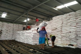 Pupuk Indonesia Siapkan  Pupuk di Gudang Lini III dan IV Secara Optimal