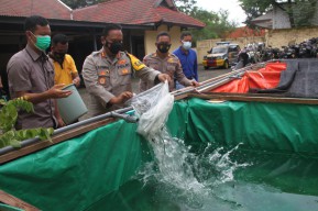 Polisi Bojonegoro Manfaatkan Lahan Kosong Ternak Ayam Joper