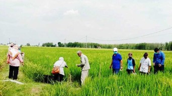  Pertamina EP Asset 4 Field Cepu Kembangkan Pertanian Sehat Ramah Lingkungan Berkelanjutan