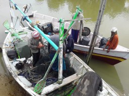 Nelayan Bangkalan Dibacok Nelayan Pengguna Jaring Trawl di Perairan Madura
