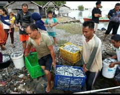 Banyak Nelayan Pakai Cantrang di Pulau Bawean, Nelayan Tradisional Surati KKP