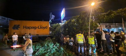 Rem Blong, Truk Kontainer Muatan  Pupuk Gasak  Pohon Terjadilah Ini  