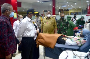 Pendonor Plasma di Surabaya Beludak, Ketersediaan Kantong Langsung Langka