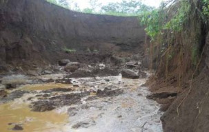 Lumajang Longsor Lagi, Puluhan Hewan Ternak Mati Terkubur