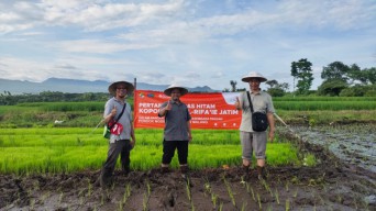Ponpes Al Rifai Menuju Swasembada Pangan Melalui Program OPOP