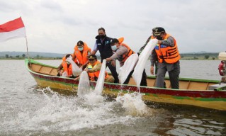 Bupati lamongan Fadeli Tebar  90 Ribu Benih Tombro dan Tawes di Waduk Prijetan