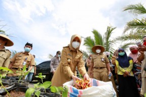 Viral Vidio Cabai Dicat, Bupati Ipuk Meradang