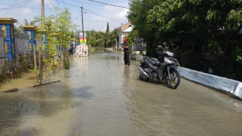 Kali Lamong Meluap  Genangi Tiga Desa di Kecamatan Benjeng 