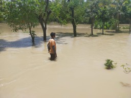 Banjir Kali Lamong Meluas di Empat Kecamatan di Gresik Selatan